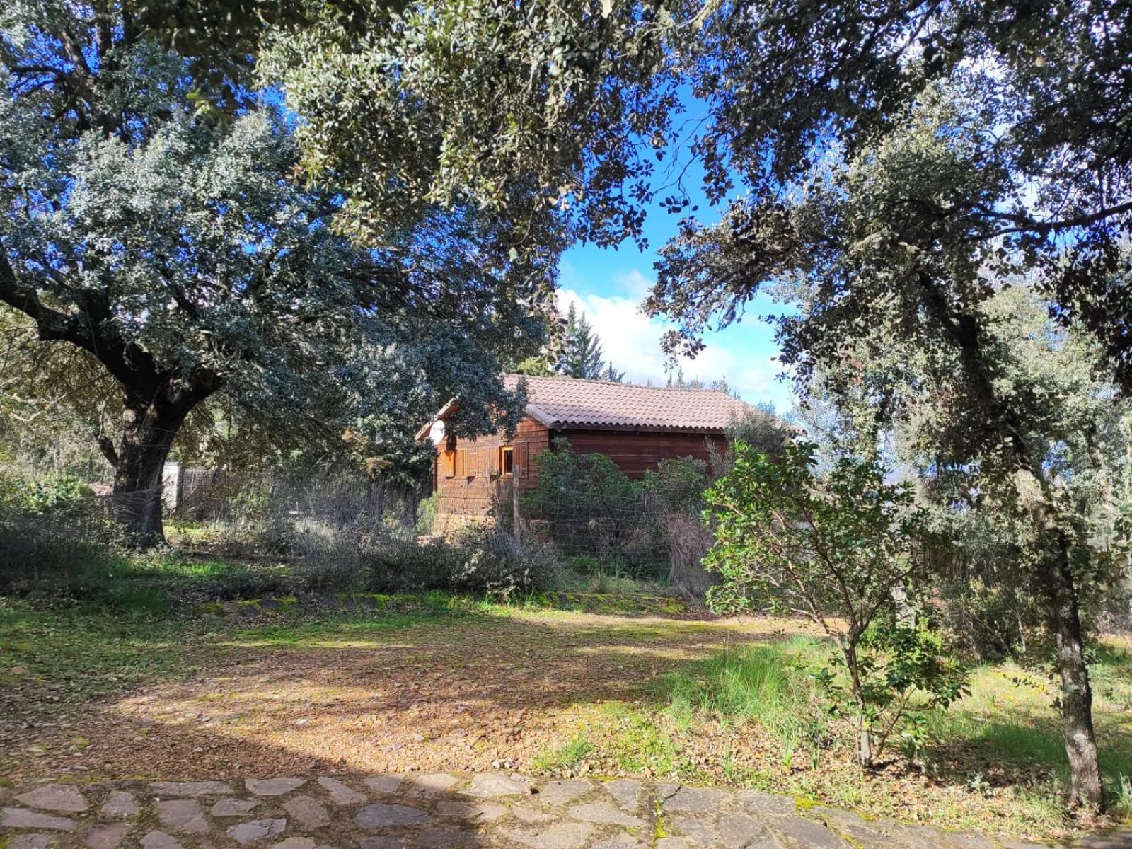 Nuevo Ecolodge Cabaneros Retuerta de Bullaque Exteriör bild
