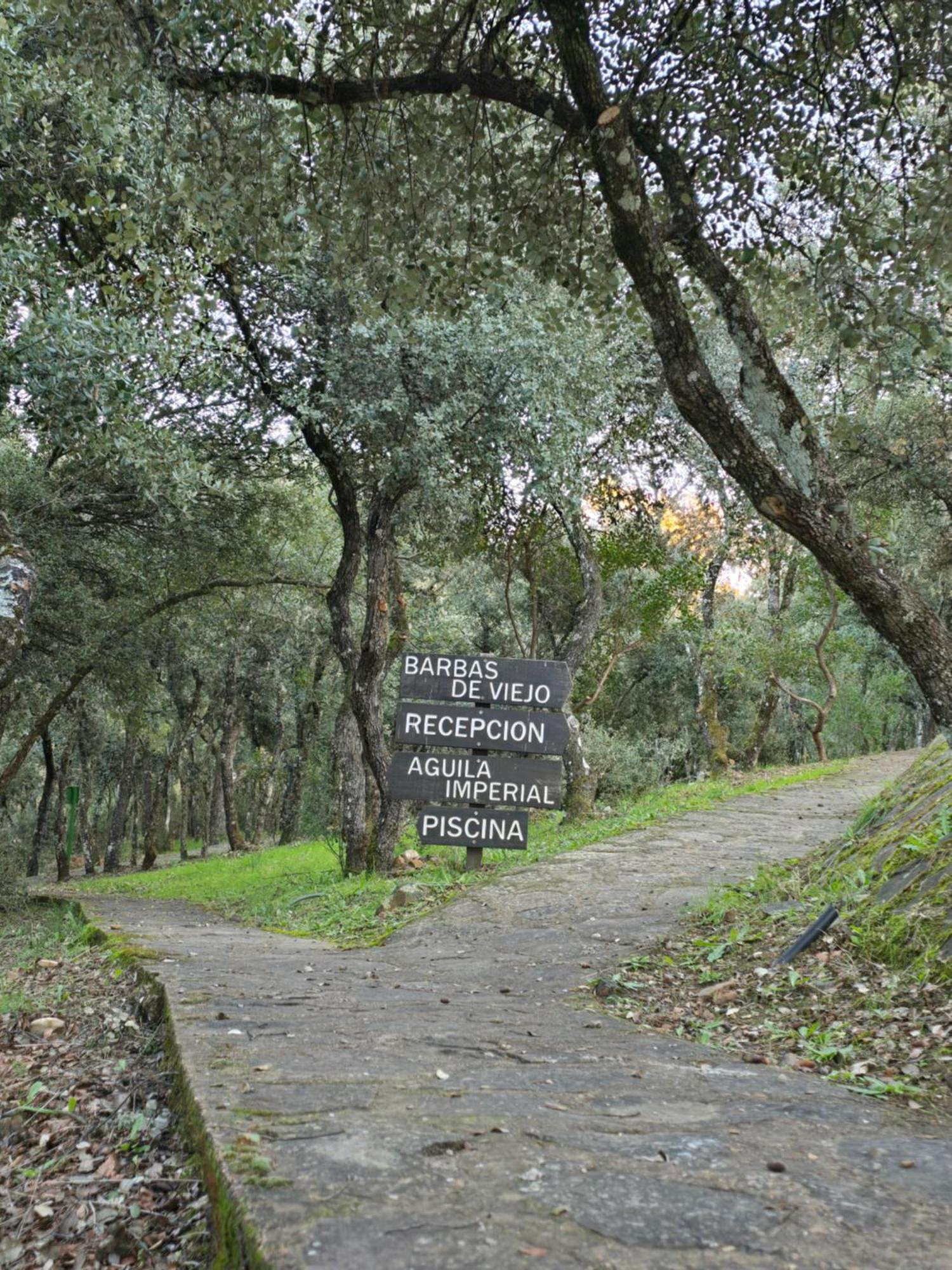 Nuevo Ecolodge Cabaneros Retuerta de Bullaque Exteriör bild