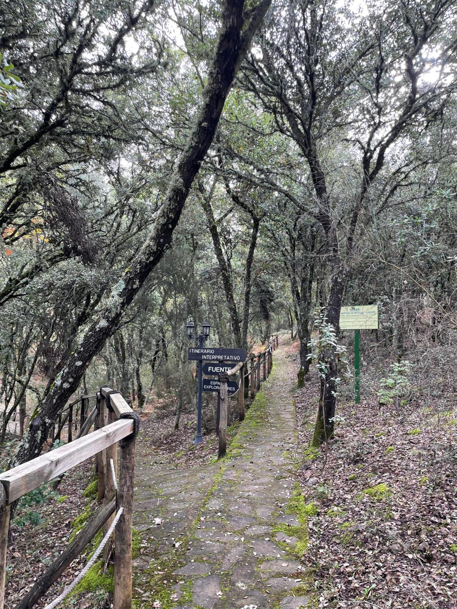 Nuevo Ecolodge Cabaneros Retuerta de Bullaque Exteriör bild