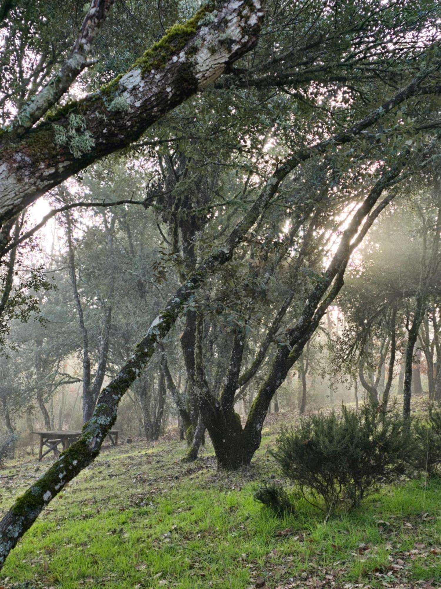 Nuevo Ecolodge Cabaneros Retuerta de Bullaque Exteriör bild