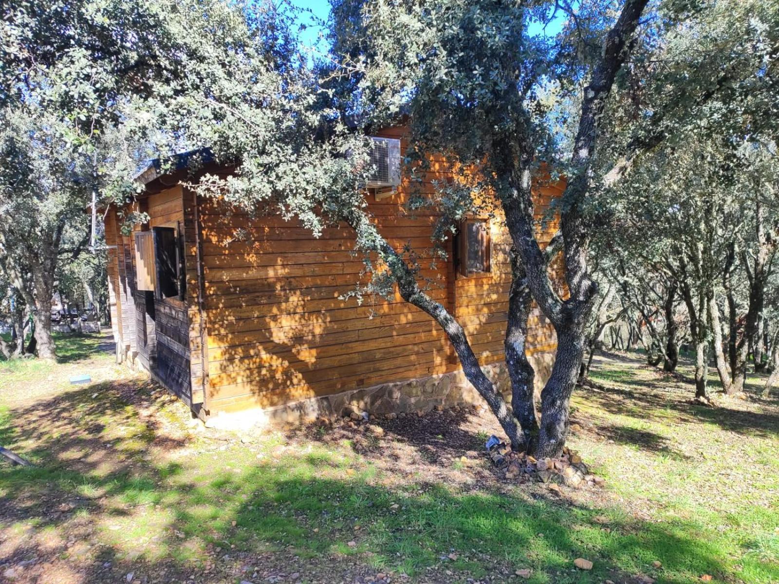 Nuevo Ecolodge Cabaneros Retuerta de Bullaque Exteriör bild
